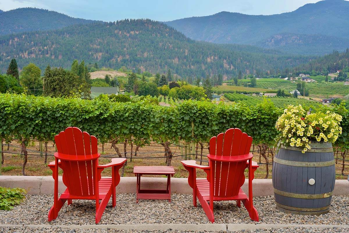 Vineyard and two red chairs overlooking